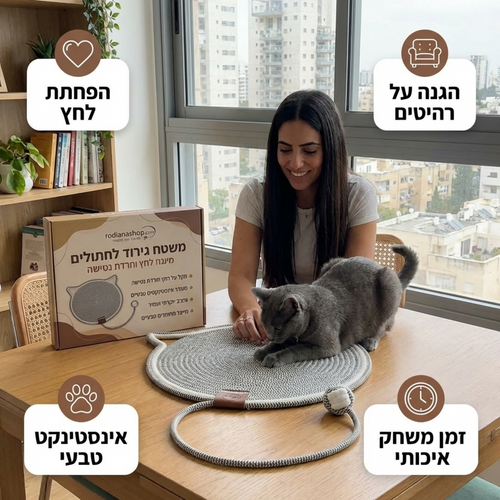 משטח פעילות וגירוד חתולי עם צעצוע