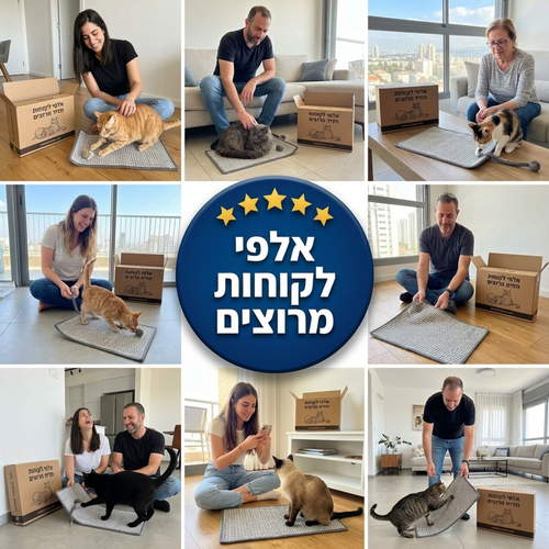 משטח פעילות וגירוד חתולי עם צעצוע