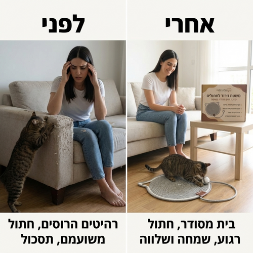 משטח פעילות וגירוד חתולי עם צעצוע
