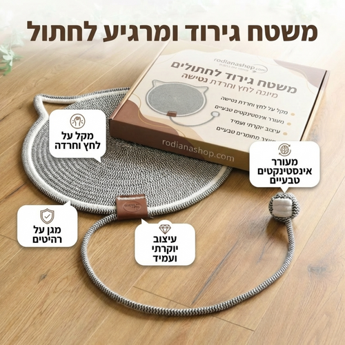 משטח פעילות וגירוד חתולי עם צעצוע