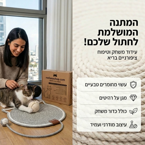 משטח פעילות וגירוד חתולי עם צעצוע