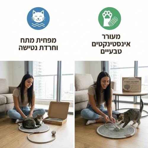 משטח פעילות וגירוד חתולי עם צעצוע